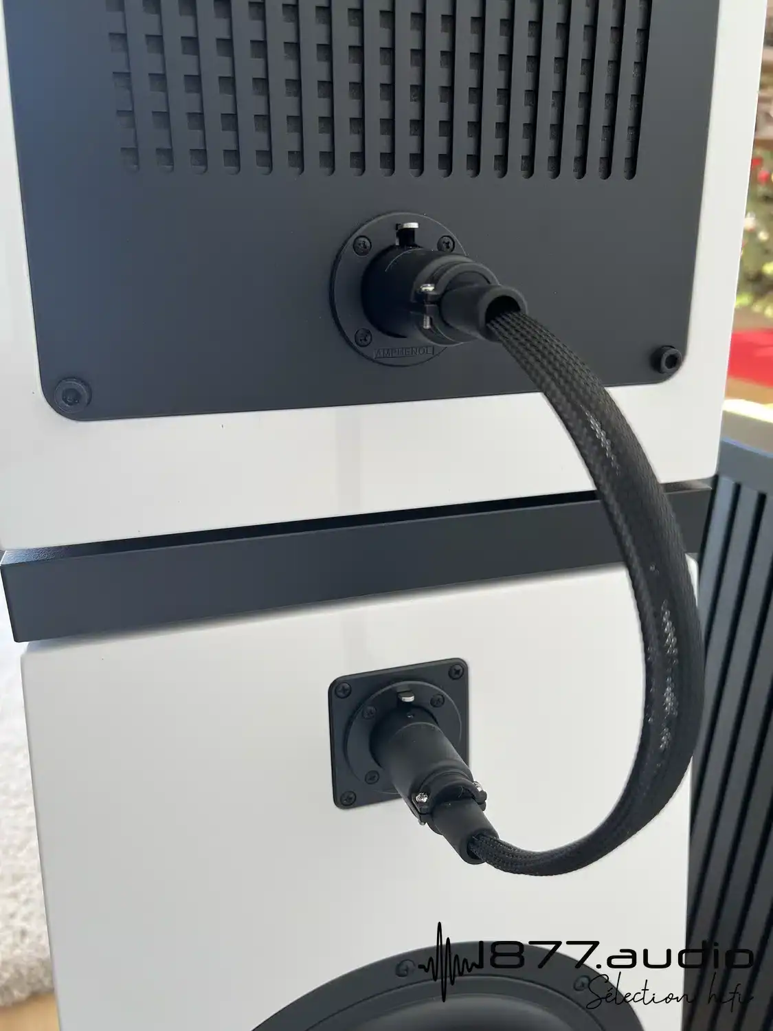 Verity Audio Florestan câble de liaison entre les deux parties de l'enceinte raccordé