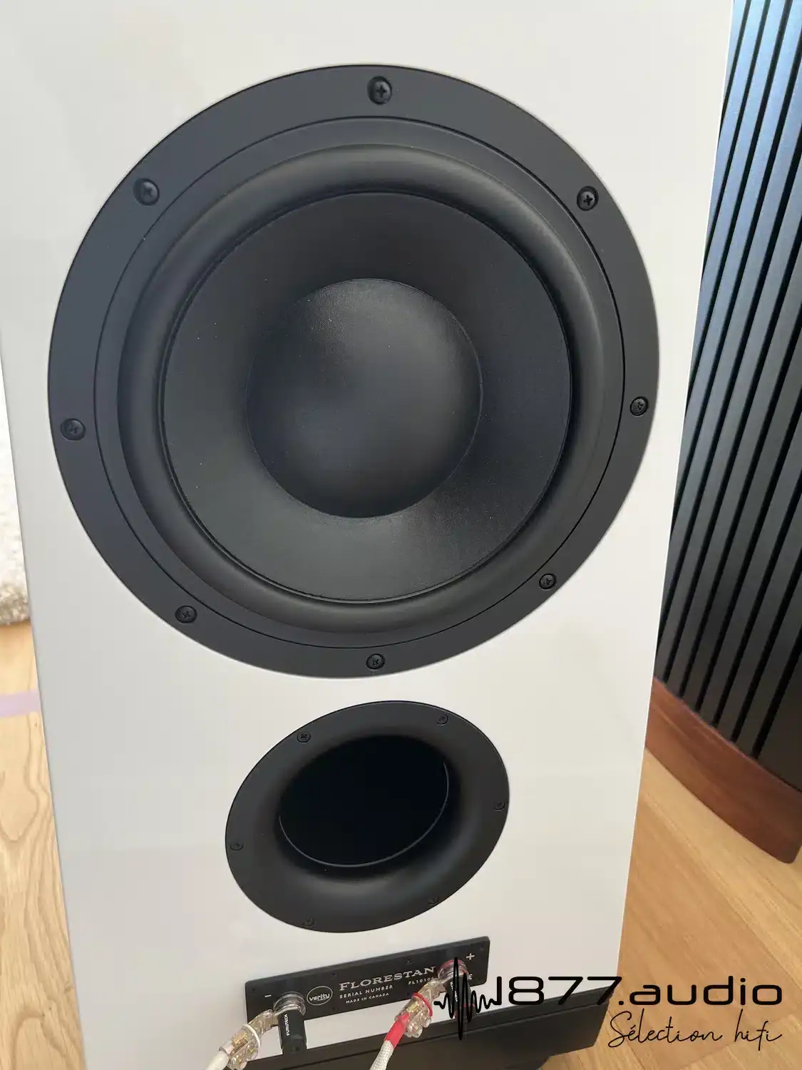 Verity Audio Florestan détail du haut-parleur passif arrière