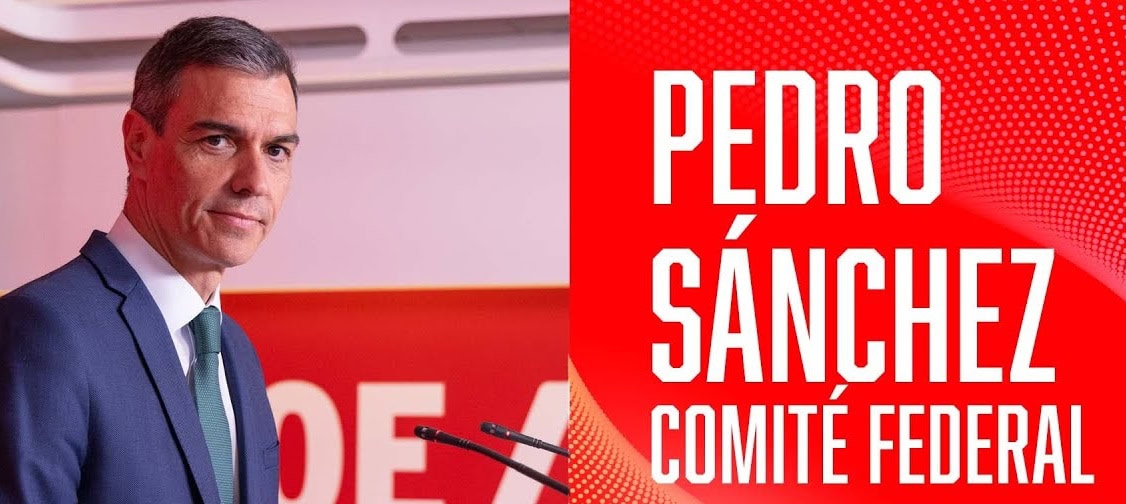 Comité Federal PSOE críticos