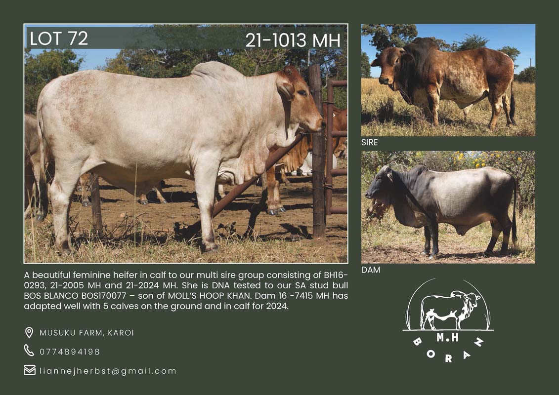 MH BORAN Catalouge_Page_1