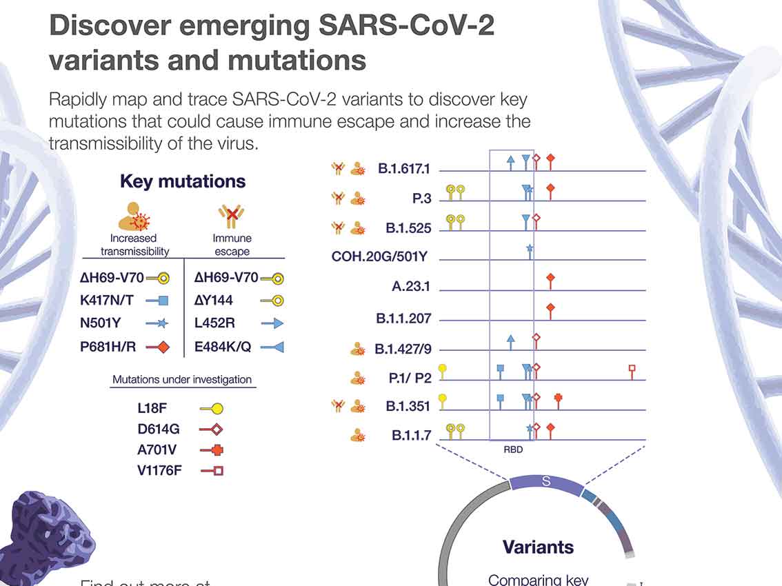 an infographic depicting Covid-q9 variants and location of mutations on the spike protein