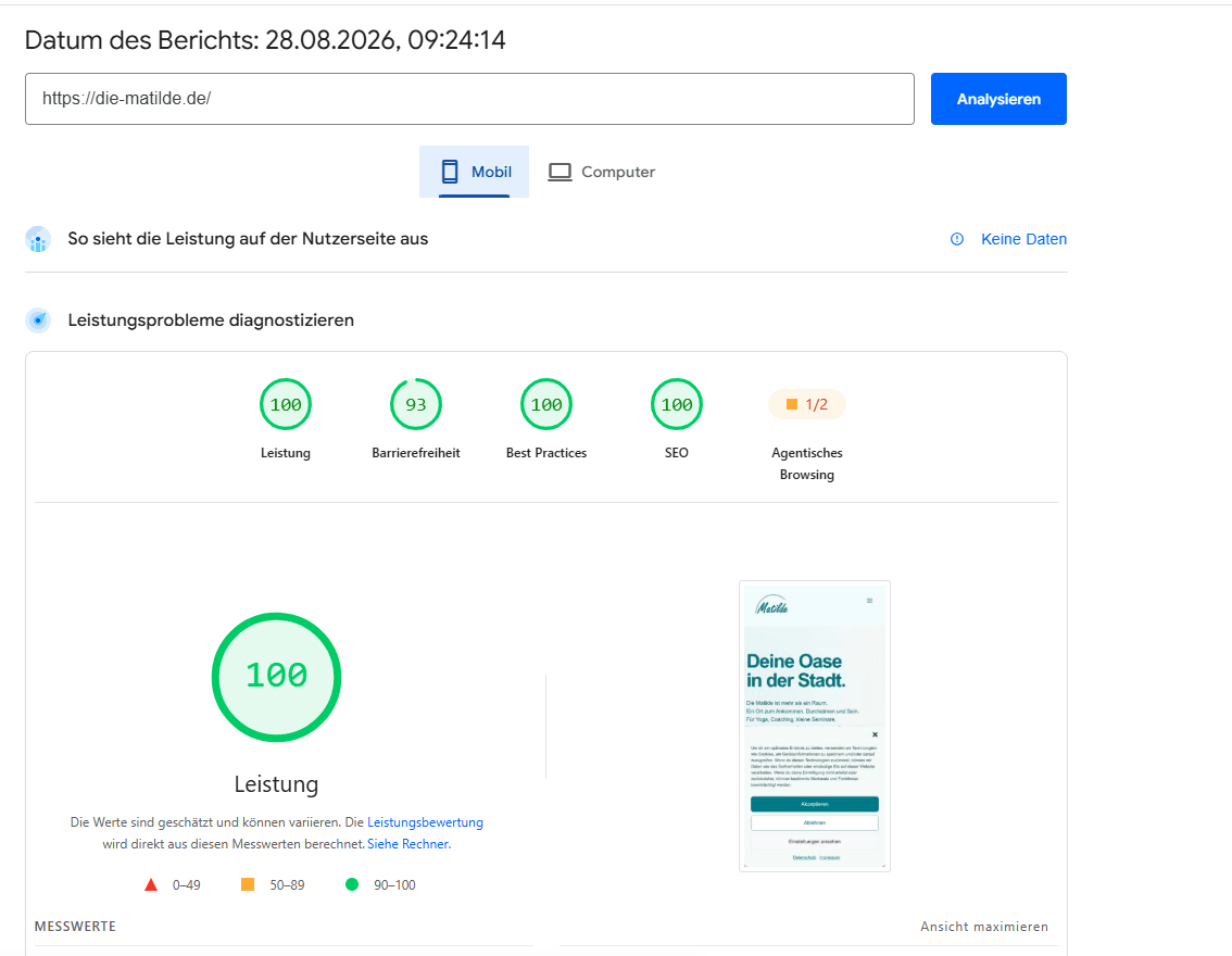 Google PageSpeed Test der mobilen Die Matilde Website mit 100 Punkten Performance