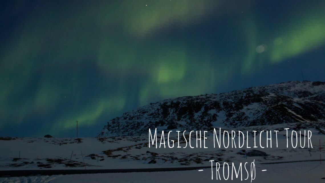 Magische Nordlichter in Tromsö – The Aurora Tour