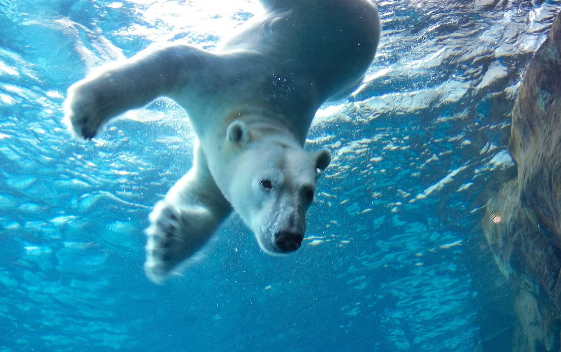 Assiniboine Zoo, Winnipeg, Manitoba