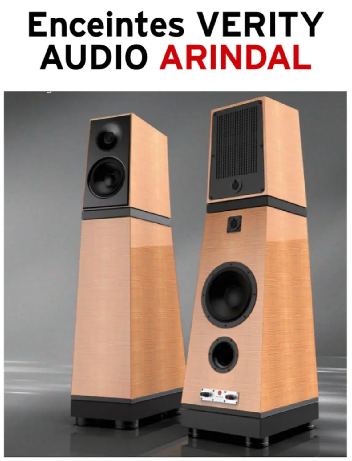 Diapason décerne un Diapason d’or aux enceintes Verity Audio Arindal