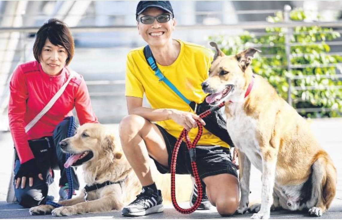 K9 Petcare