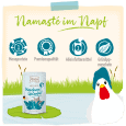 Wellness Pollo Huesos y articulaciones MjAMjAM para gato, detalle