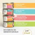 Sabores de Catit Cuisine Duet Selection para gatos: pollo con gambas, atún con salmón, salmón con pechuga de pollo y pato con pechuga de pollo