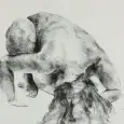 female nude drawings of women showing her back by olaf melcher