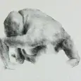 female nude drawings of women showing her back by olaf melcher