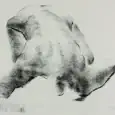 female nude drawings of women showing her back by olaf melcher