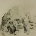 female nude drawings of women showing her back by olaf melcher