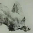 female nude drawings of women showing her back by olaf melcher