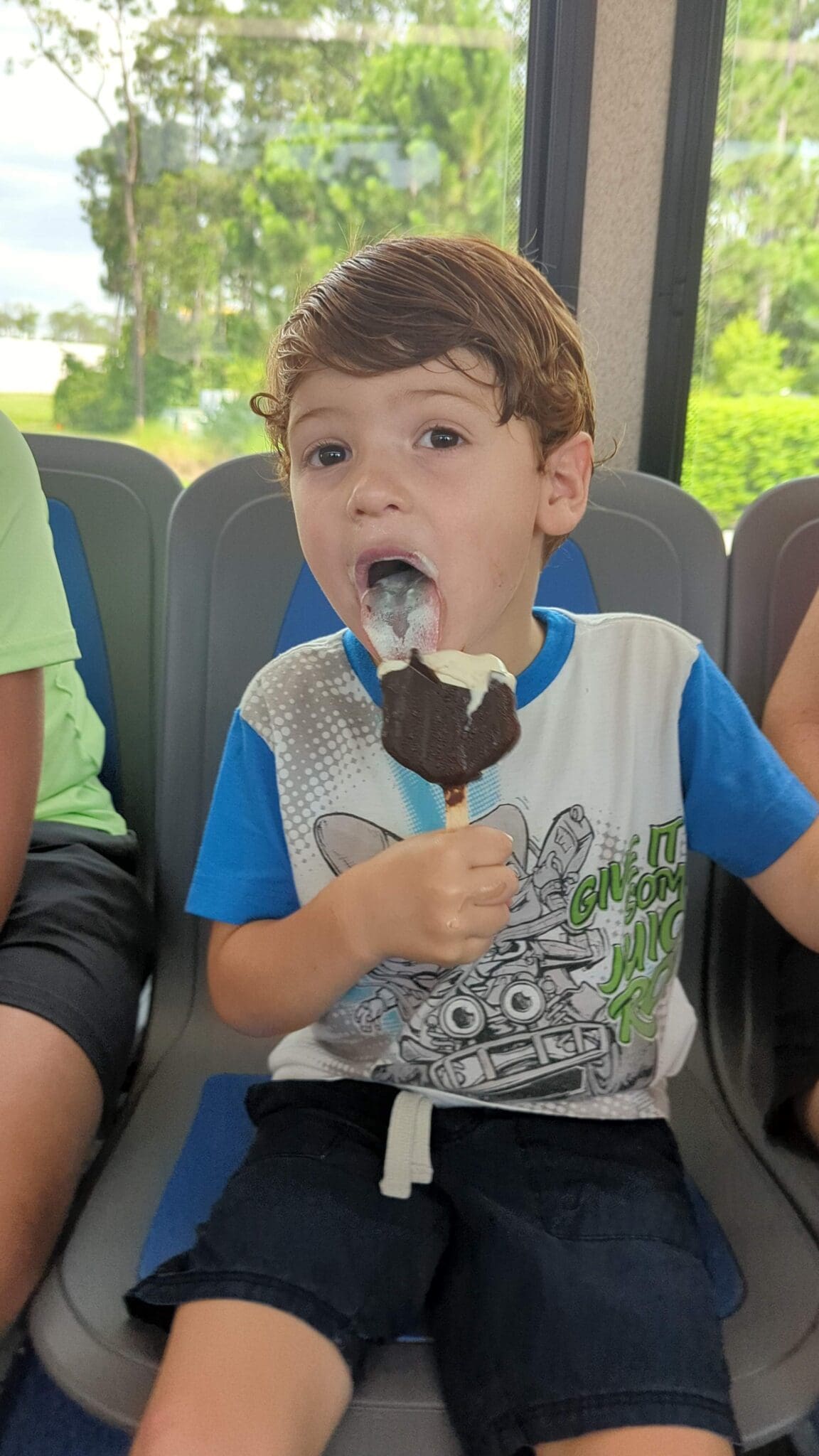 mickey bar, mickey ice cream bar, disney world