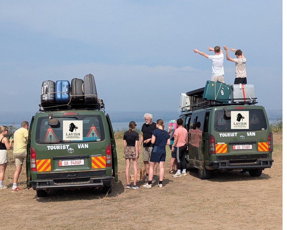 Book a Wildlife Safari in Uganda