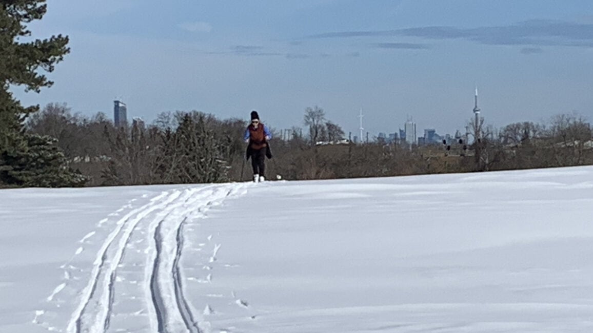 Snowfall warning issued for Toronto and west GTA