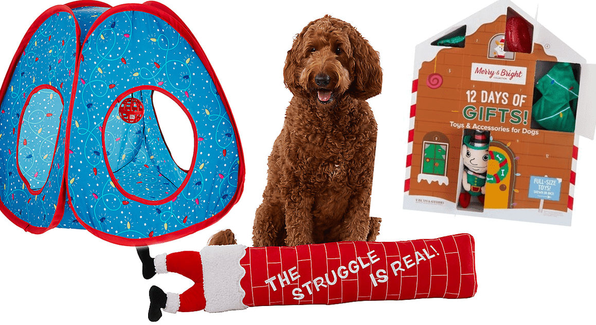 12 Great Holiday Gift Ideas For Your Pet from PetSmart Canada