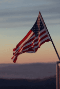 USA Flag 450 x 675