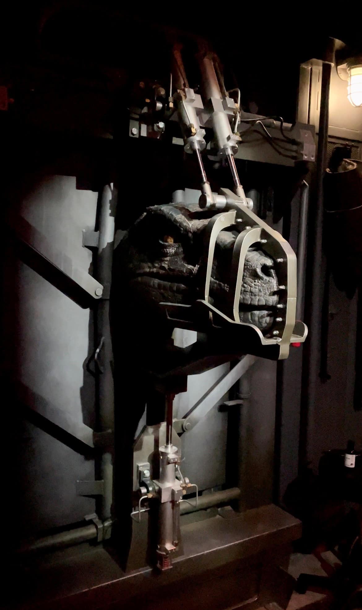 A biomechanical crocodile model used for research or educational display.