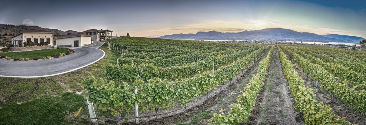 Moon Curser Vineyards