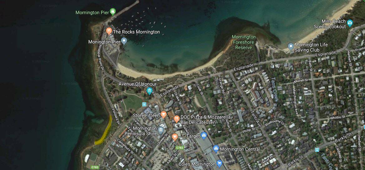 Royal Beach - Best dog-friendly beaches in Melbourne and Mornington Peninsula