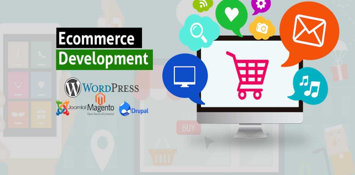 Custom Web Development and Ecommerce Services