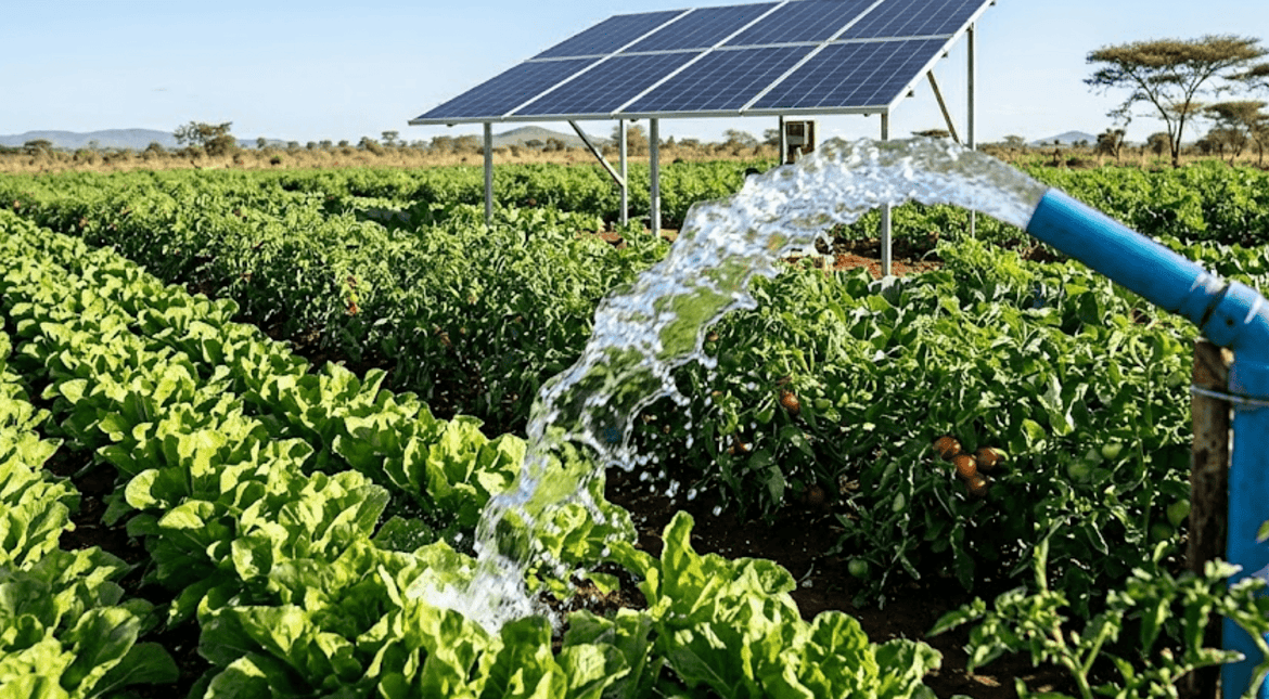 Solar panels harvesting sun energy for irrigation
