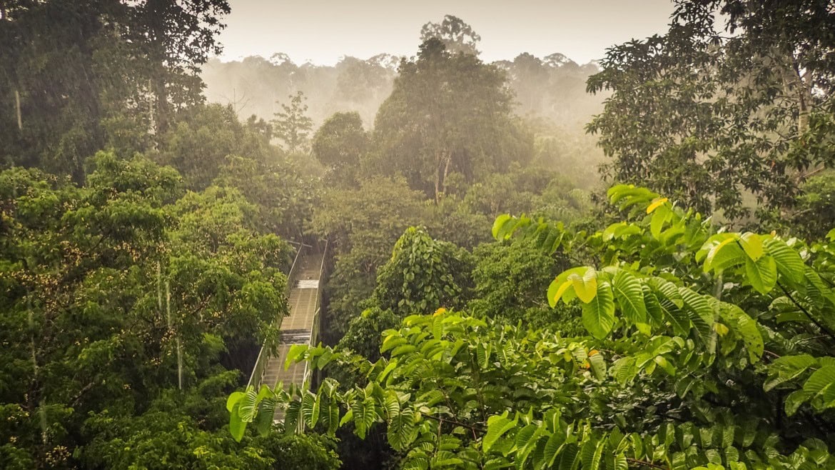 Borneo itinerary
