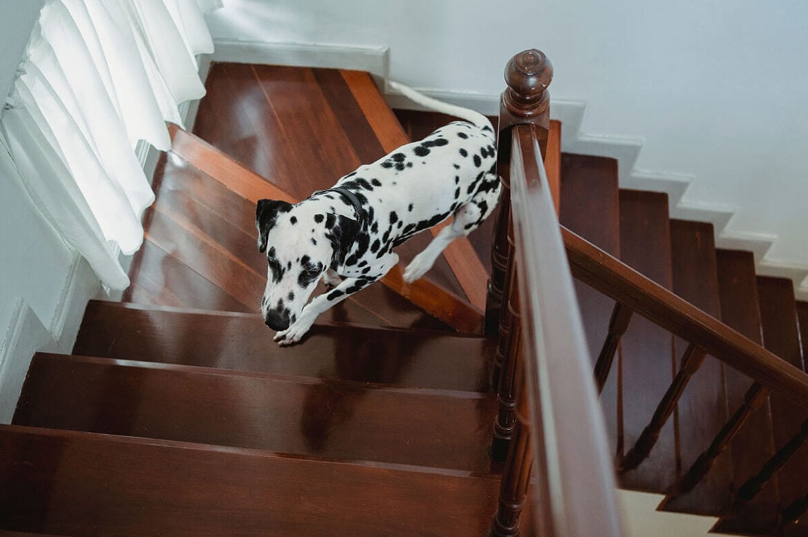 What Are the 5 Best Finishes for Hardwood Stairs in a High-Traffic Home?