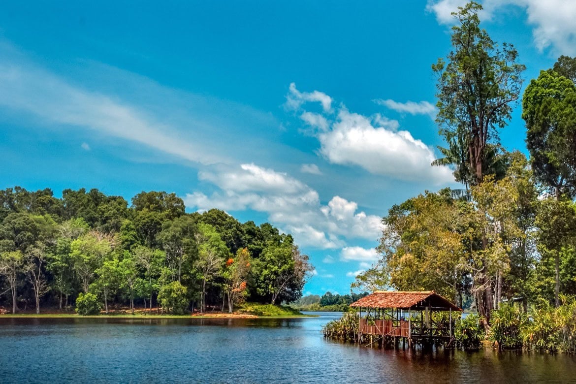 What to do in Brunei- Tasek Merimbun