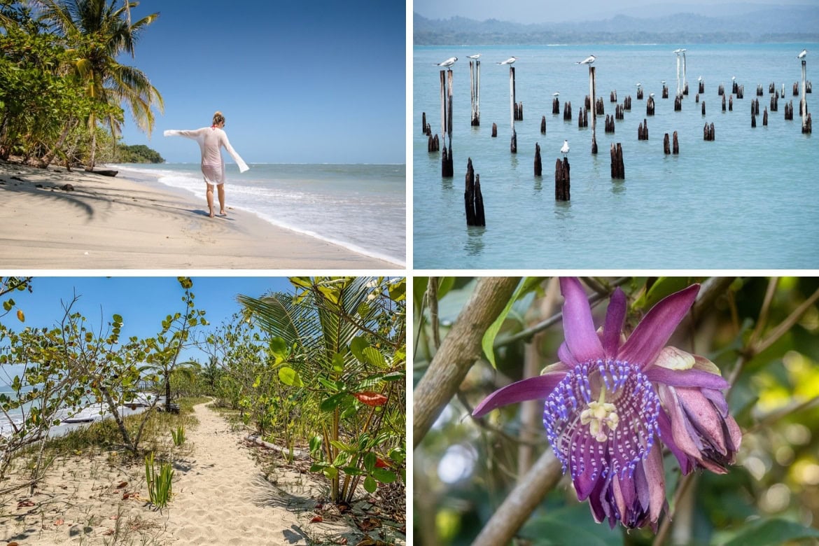 Fun things to do in Puerto Viejo, Costa Rica- Cahuita National Park
