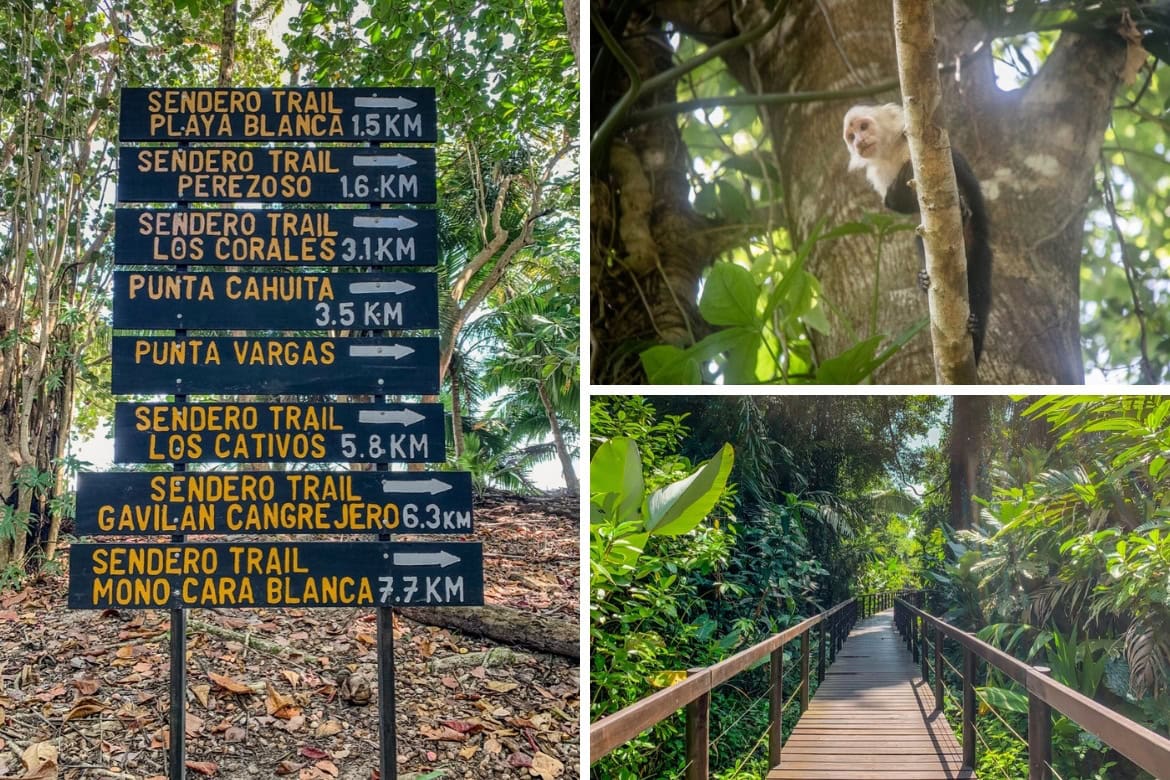 Fun things to do in Puerto Viejo, Costa Rica- Cahuita National Park