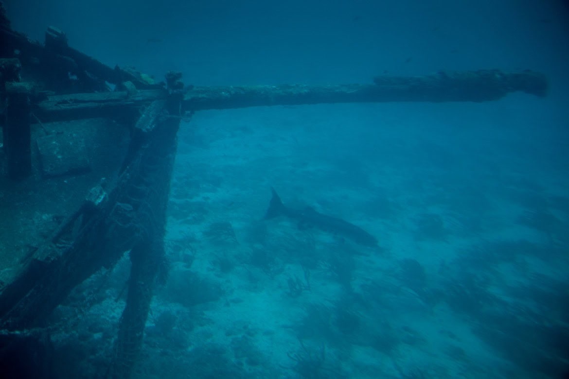 The submarine tour in Aruba