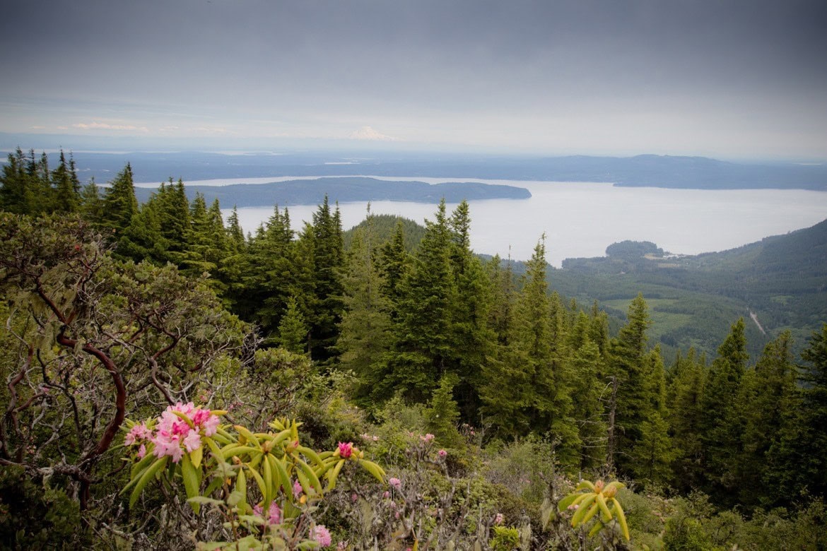 Mt Walker Viewpoint is one of the best things to do in Olympic National Park