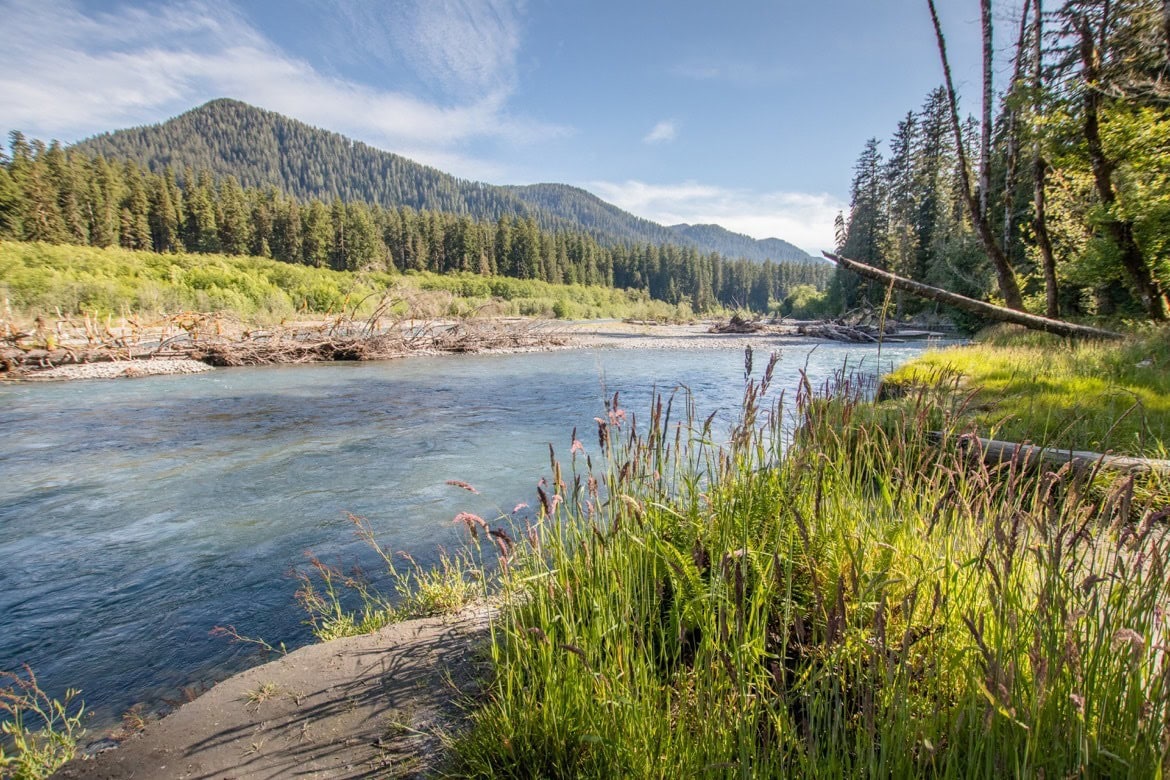 The Hoh River along the Hall of Mosses in the Hoh Rain Forest