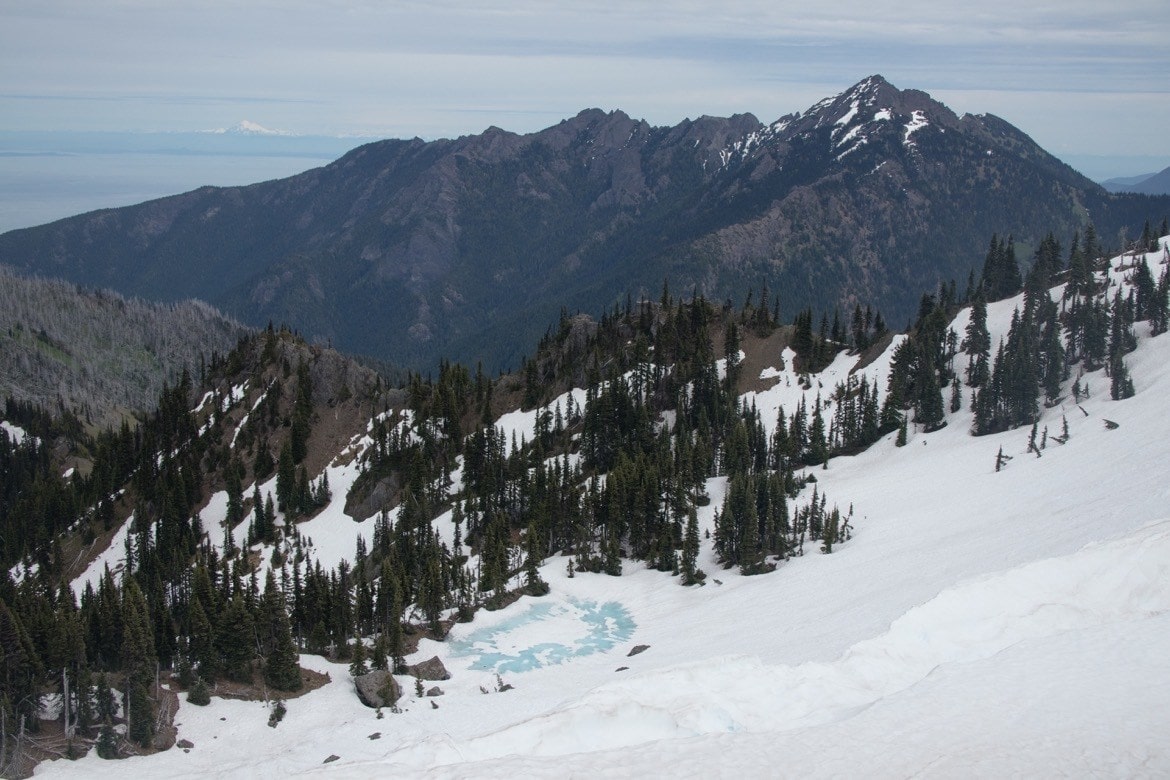 Hiking Hurricane Ridge is one of the best things to do in Olympic National Park