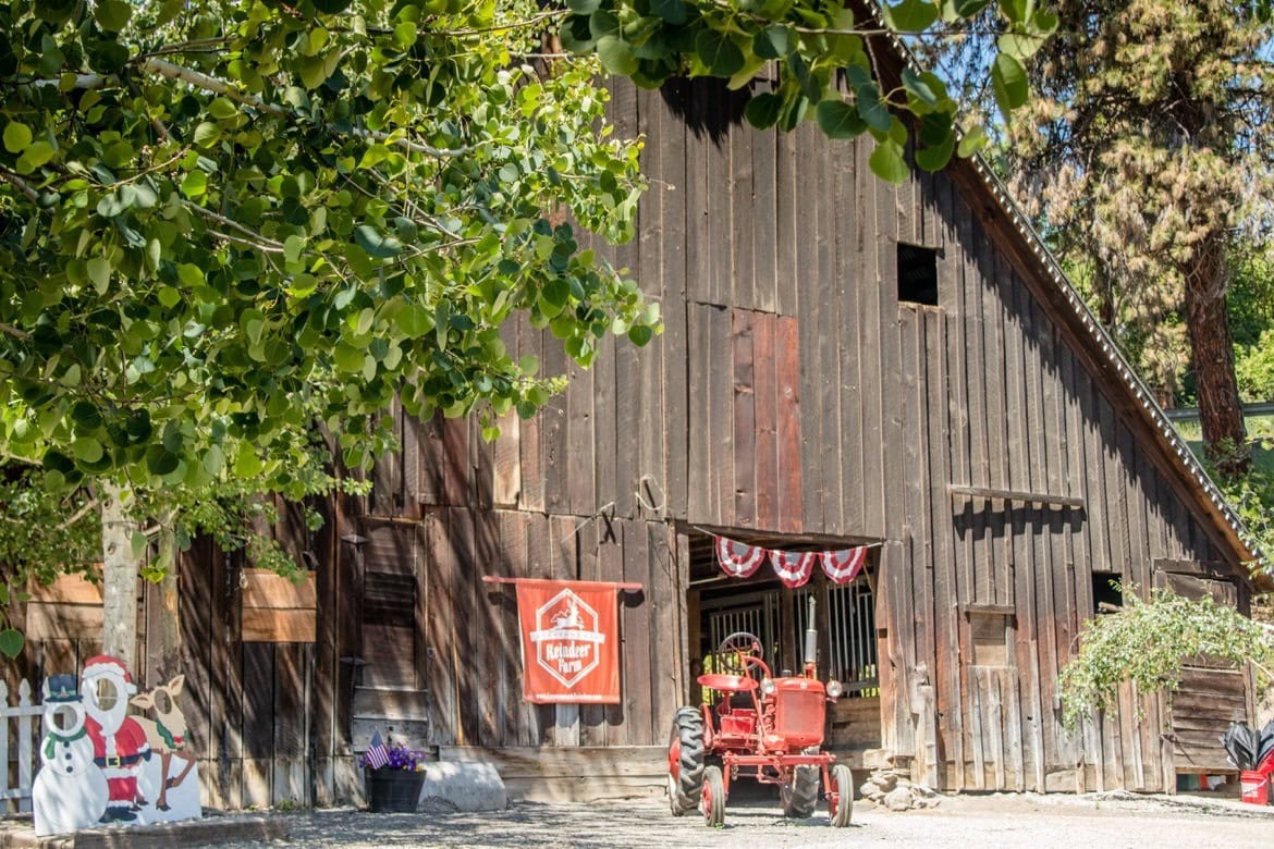 Leavenworth Reindeer Farm