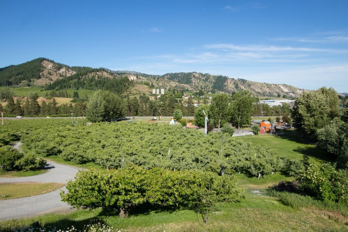The view from Silvara Cellers