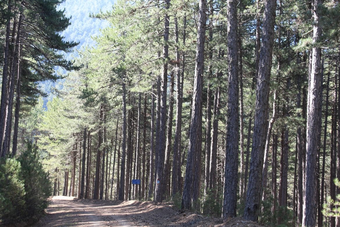 mountain_trails_vamvakou