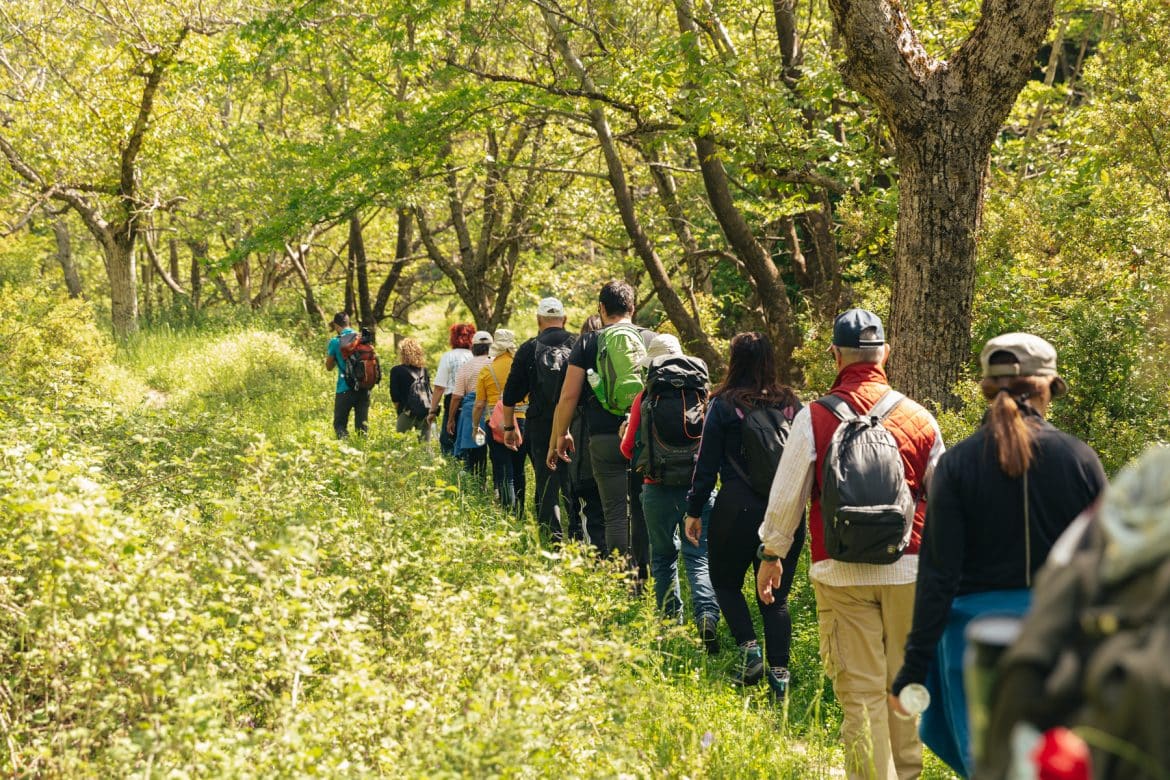 SNFCC - Eftychia Vlachou