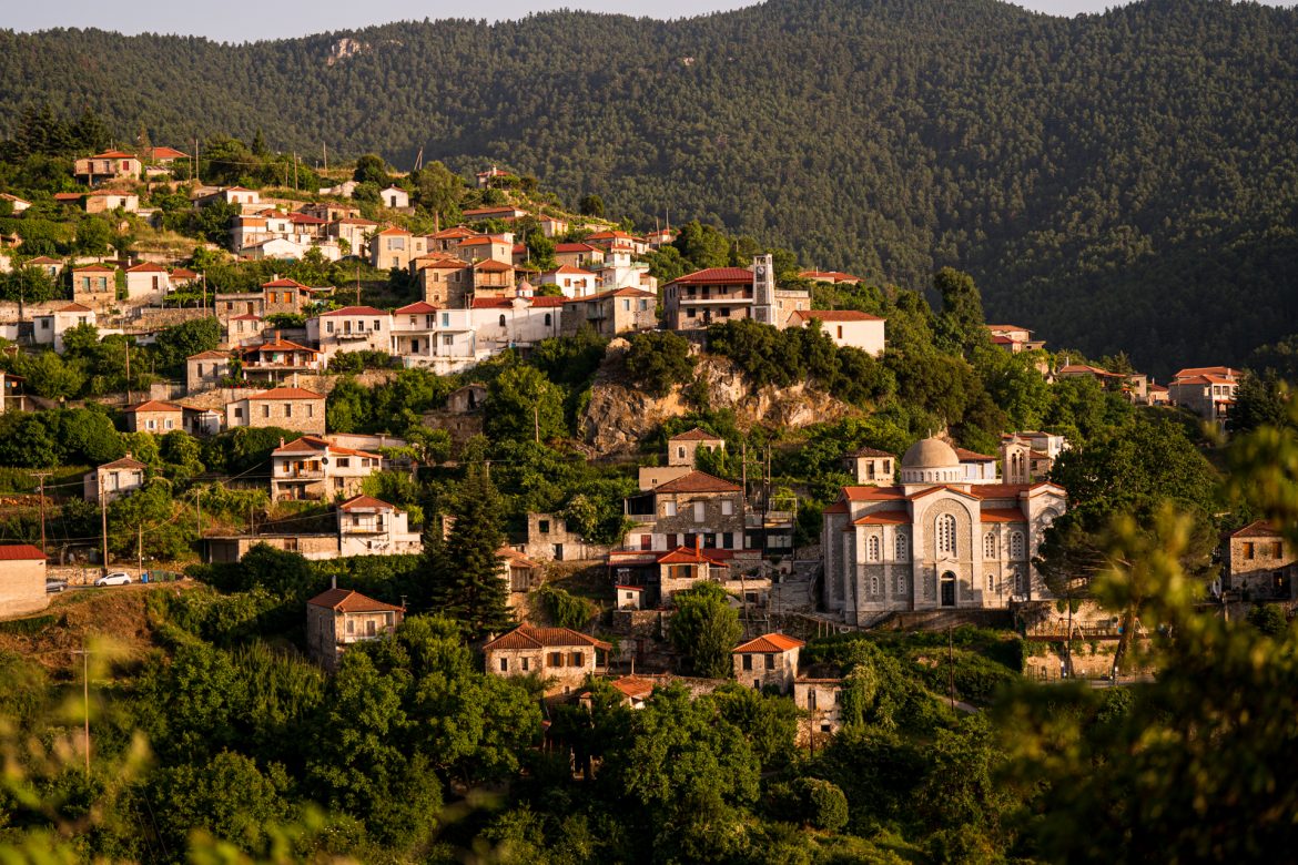 SNFCC -  Eftychia Vlachou