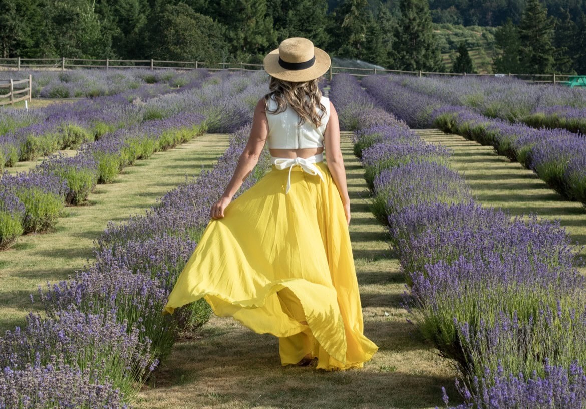 Lavender farms in Oregon