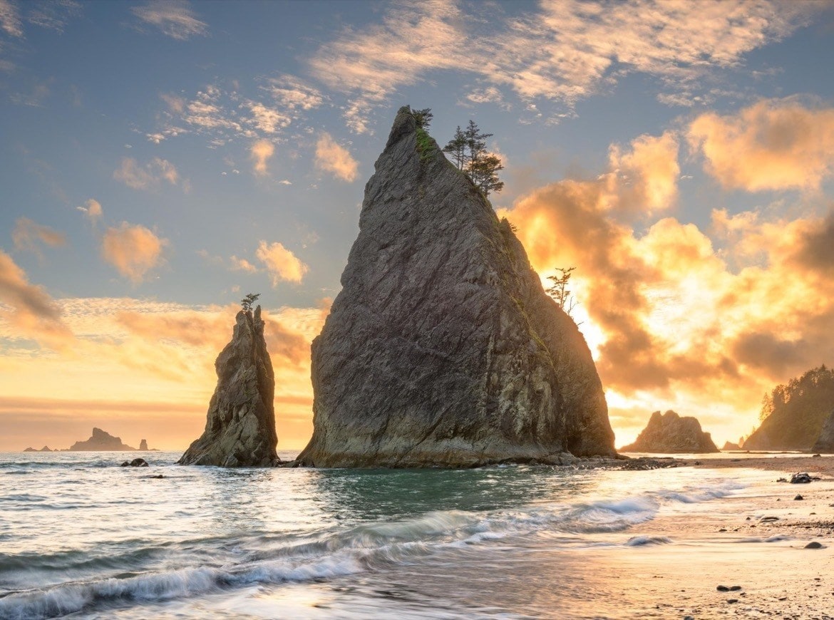 Best things to do in Olympic National Park