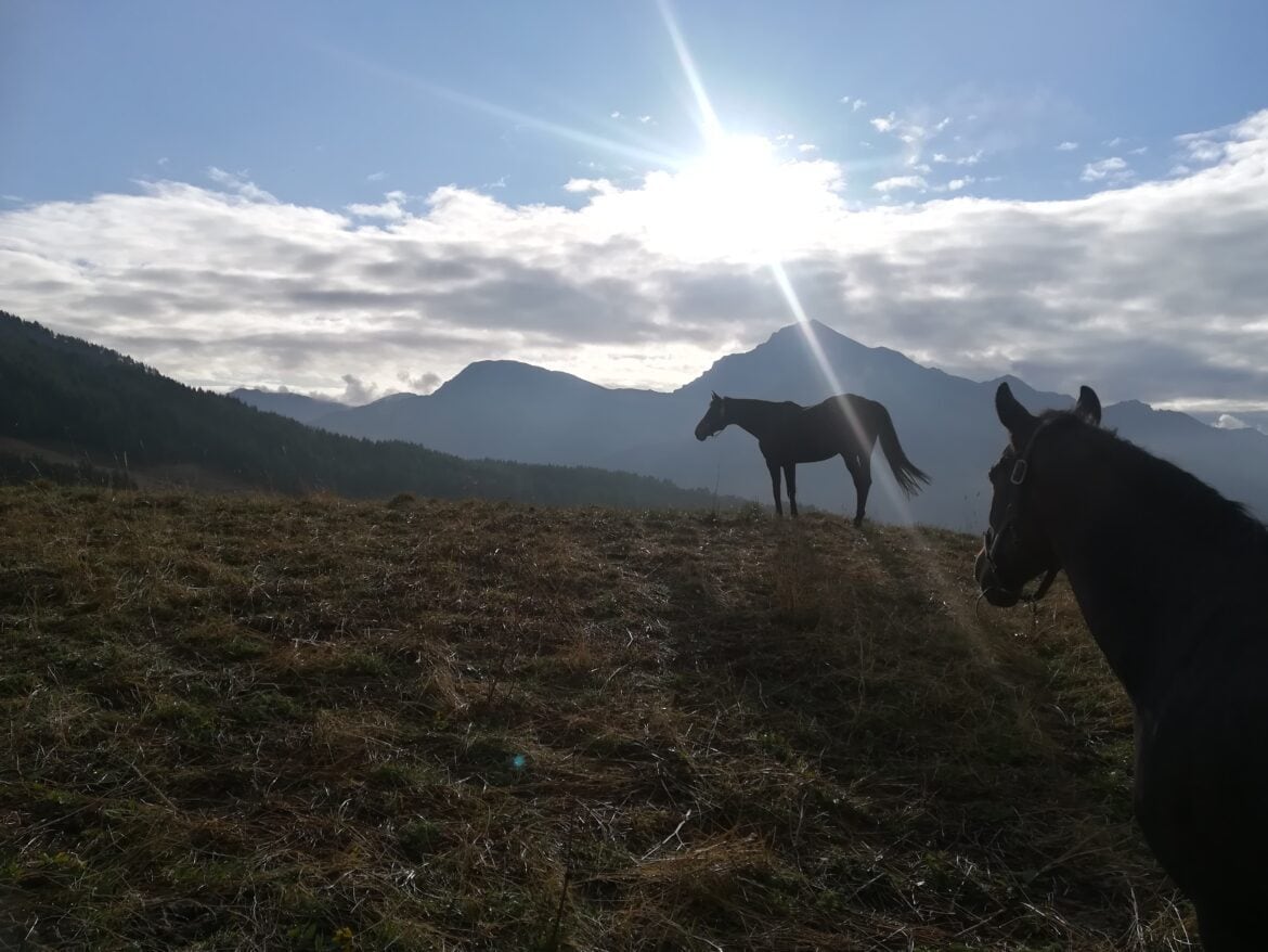 Il Cavallo e la Montagna – Spazi di Incontro Pragelato – estate 2024
