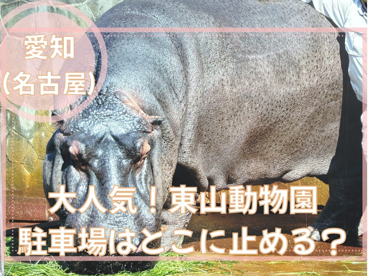 東山動物園が進化中!2025年の最新リニューアル情報も