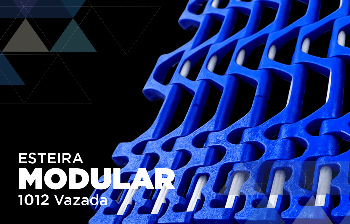 1012 Vazada