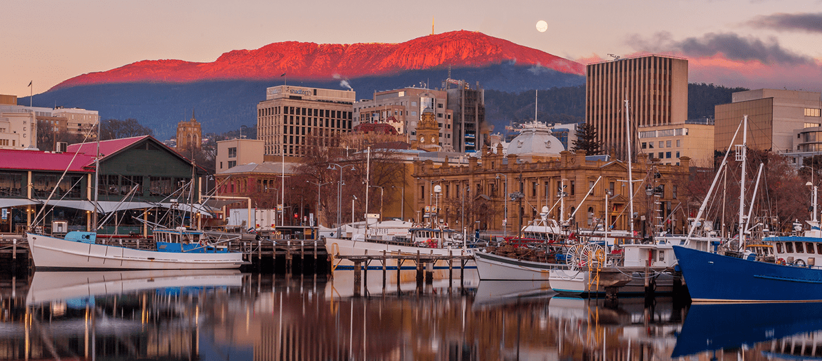 AMC Tasmania