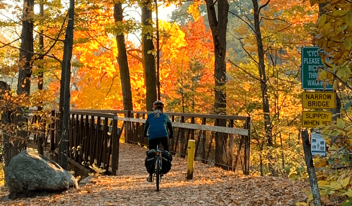 10 Best Places to see the Fall Colour in Toronto