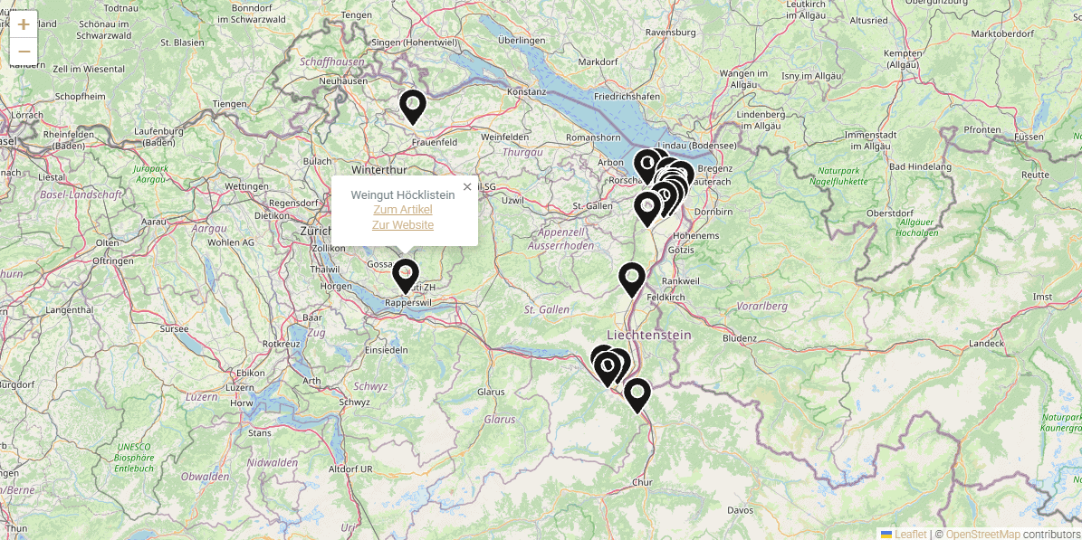 Webdesign Haus des Weins SG 1