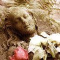 Spaziergang über Freiburgs Alten Friedhof: "Historix' Friedhofs-Tour" (ohne Anmeldung)
